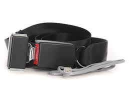 Wheelchair Safety Belt